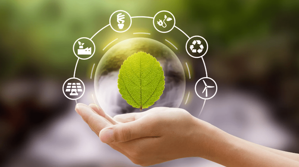 https://www.wastecero.com/wp-content/uploads/2023/08/waste-cero-gestion-ambiental.png