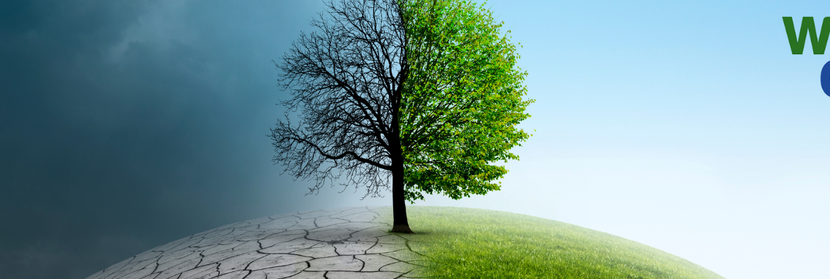 Economía circular contra el cambio climático