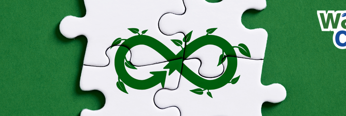 Estrategia de Economía Circular: Simbiosis Industrial. 🐝🪱