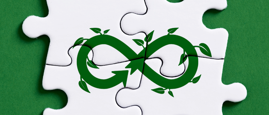Estrategia de Economía Circular: Simbiosis Industrial. 🐝🪱
