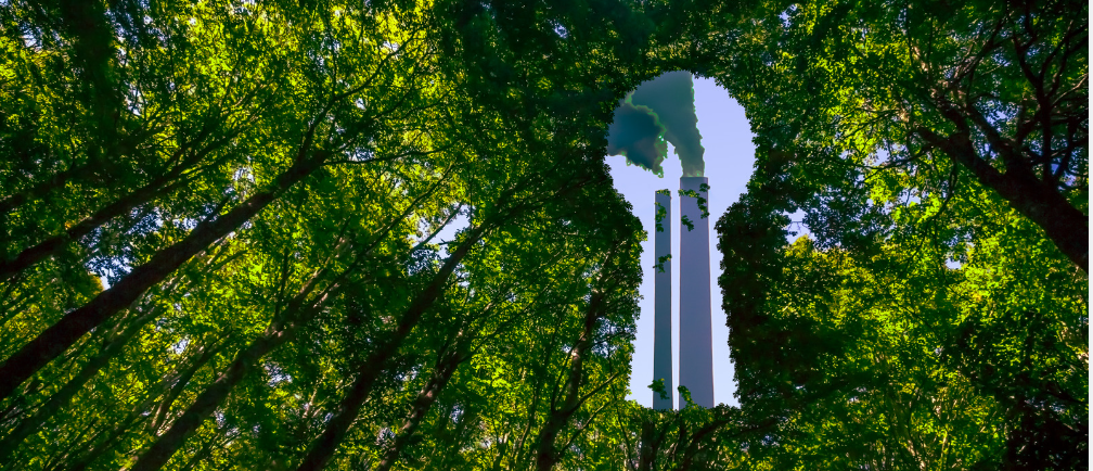 ¿Qué es el Greenwashing y cómo identificarlo?