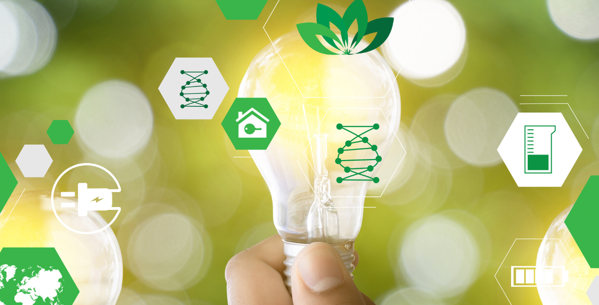 Economía Circular y Bioeconomía: Diferencias Clave para su Aplicación