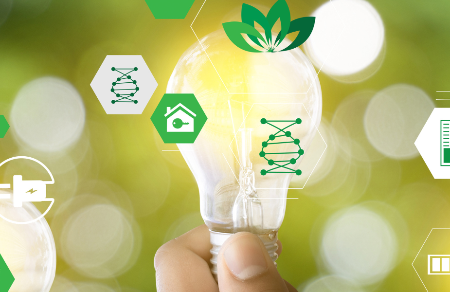 Economía Circular y Bioeconomía: Diferencias Clave para su Aplicación