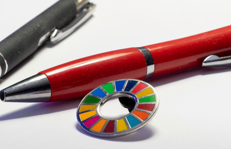 El cierre de la Agenda 2030: ¿Dónde estamos?