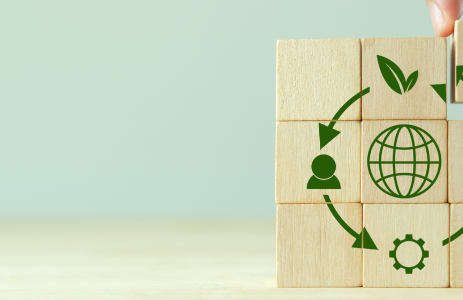 Mitos y verdades del reciclaje en México ♻️